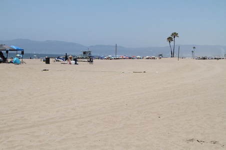 Enlarge photo 41