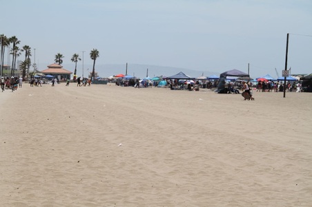 Enlarge photo 43