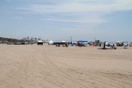 Enlarge photo 51