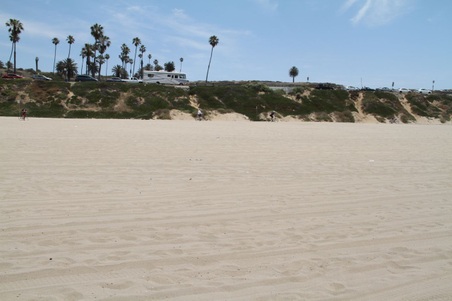 Enlarge photo 61