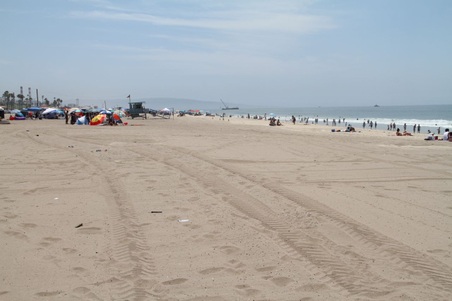 Enlarge photo 63