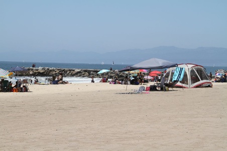 Enlarge photo 81