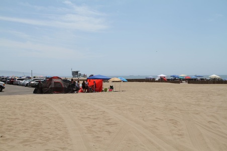 Enlarge photo 30