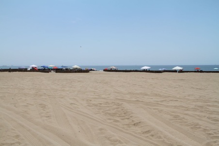 Enlarge photo 31