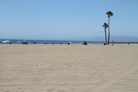 Enlarge photo 33
