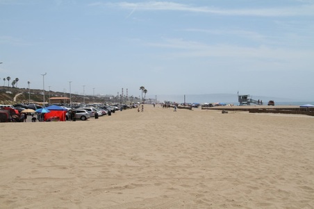 Enlarge photo 41