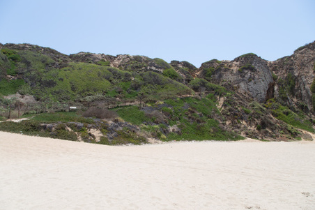 Enlarge photo 21