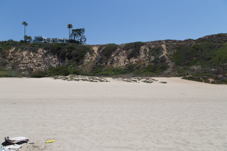Enlarge photo 45