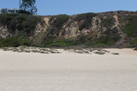 Enlarge photo 46