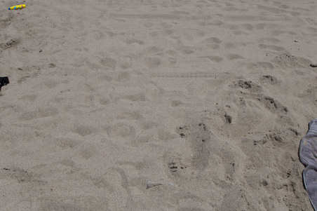 Enlarge photo 47