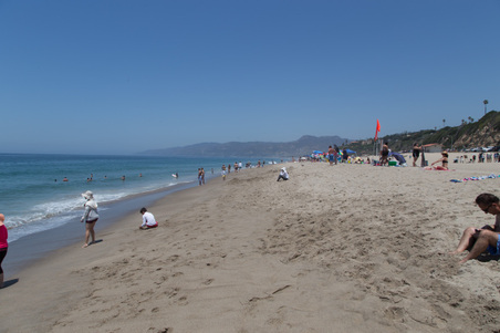 Enlarge photo 59