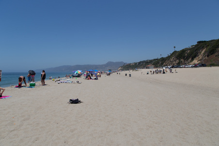 Enlarge photo 61