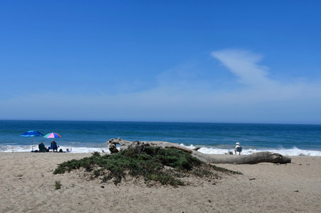 Enlarge photo 15