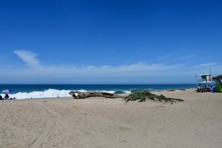 Enlarge photo 16