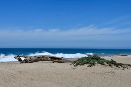 Enlarge photo 9