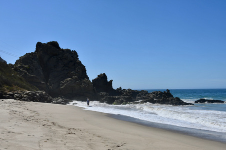 Enlarge photo 41