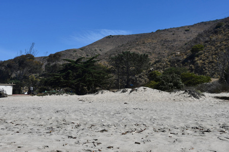 Enlarge photo 52