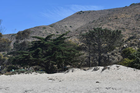 Enlarge photo 57