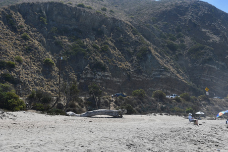 Enlarge photo 61