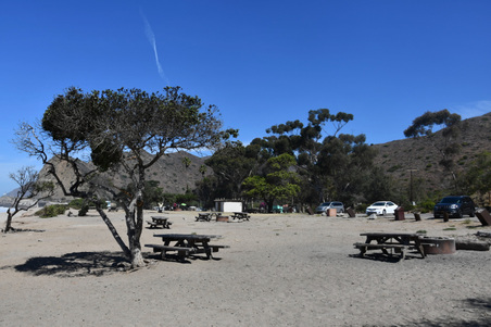 Enlarge photo 62