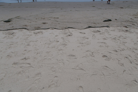 Enlarge photo 37