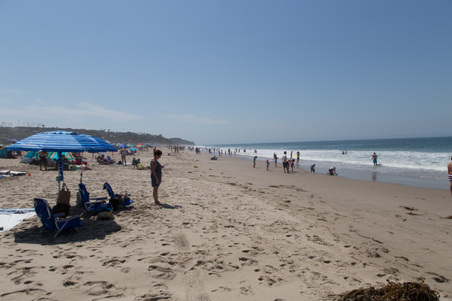 Enlarge photo 15