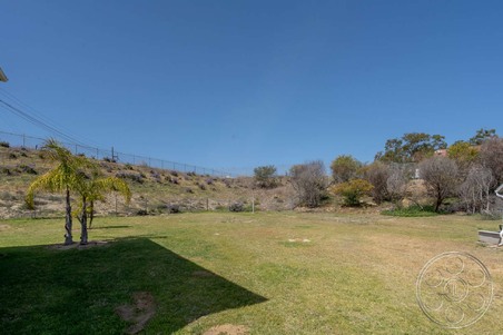 Enlarge photo 81