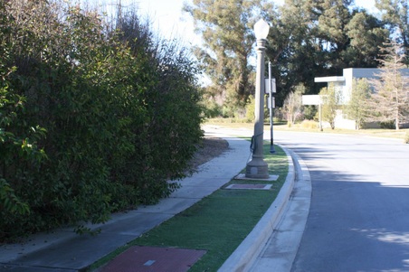 Enlarge photo 28