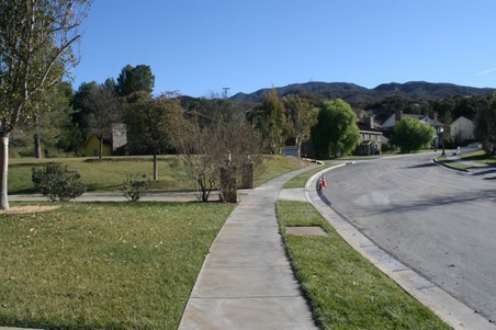 Enlarge photo 41