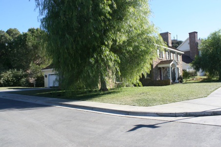 Enlarge photo 46