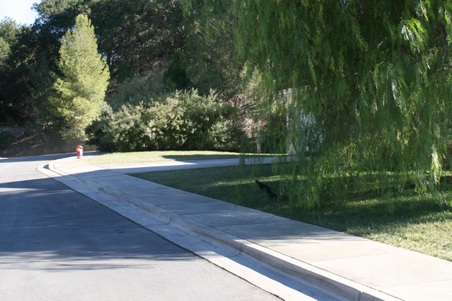 Enlarge photo 47
