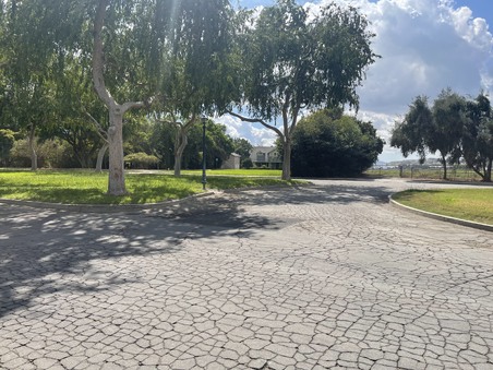 Enlarge photo 136
