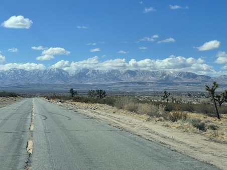 Enlarge photo 40