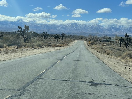 Enlarge photo 57