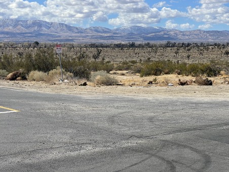 Enlarge photo 16
