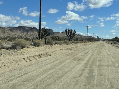 Enlarge photo 46