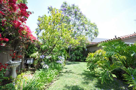 Enlarge photo 82