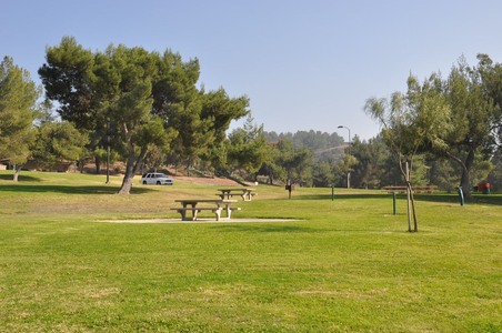 Enlarge photo 19