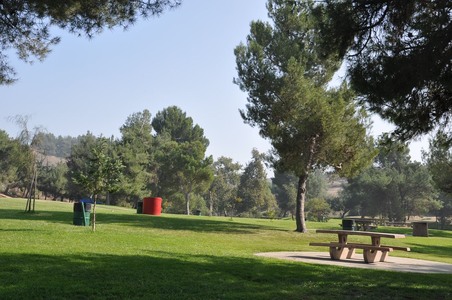 Enlarge photo 29