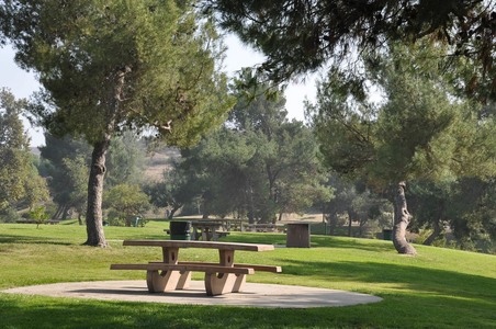 Enlarge photo 31