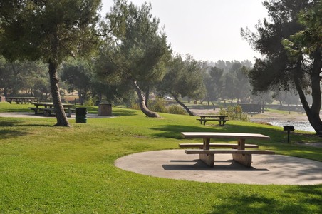 Enlarge photo 33