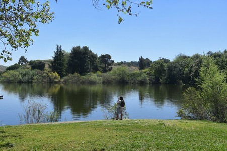 Enlarge photo 8