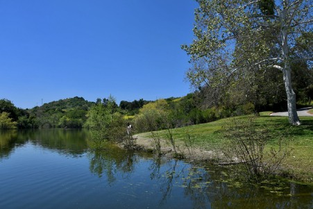 Enlarge photo 16