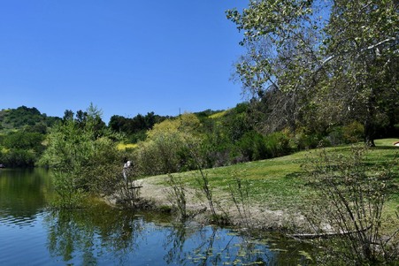 Enlarge photo 17
