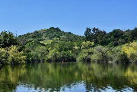 Enlarge photo 24