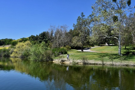 Enlarge photo 25
