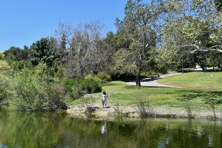 Enlarge photo 26