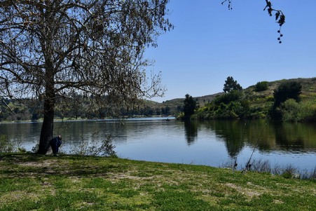 Enlarge photo 33