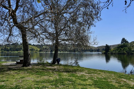 Enlarge photo 34