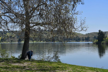 Enlarge photo 35